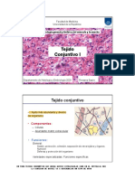 Tejido Conjuntivo I Dra Rossana Sapiro