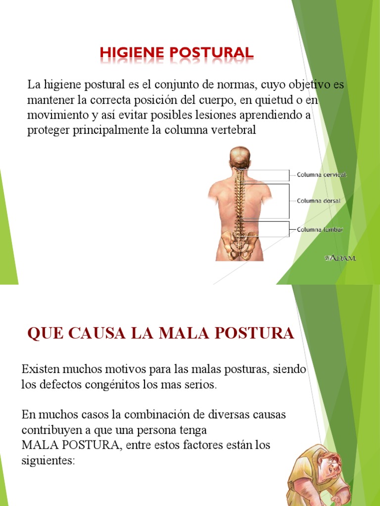 Higiene Postural y Consecuencias | PDF | La columna vertebral | Dolor ...