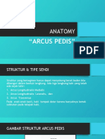 Arcus Pedis