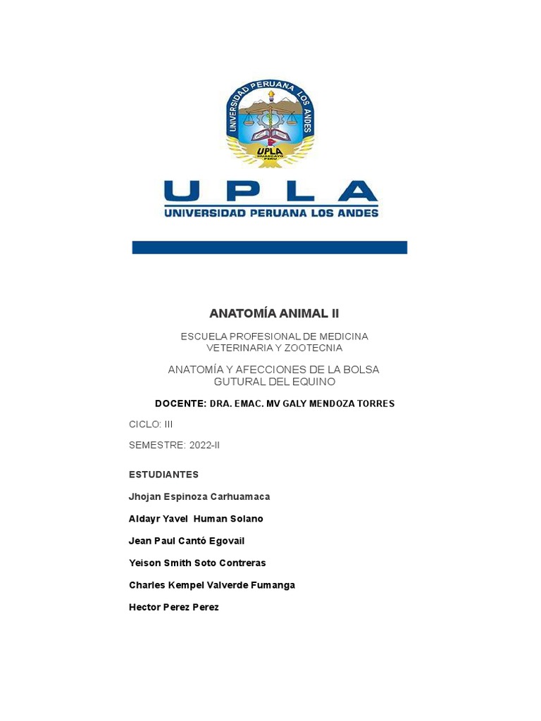 Anatomía y Afecciones de La Bolsa Gutural Del Equino PDF Especialidades Medicas Medicina