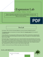 Gene Expression Lab