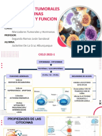 Exp6-Marcadores Tumorales Citokinas