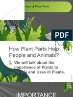 Uses of Plant Parts