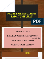 Proses Metabolisme Pada Tumbuhan 2021B 09 52