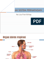 Anatomi Fisiologi Sistem Pernafasan RMIK