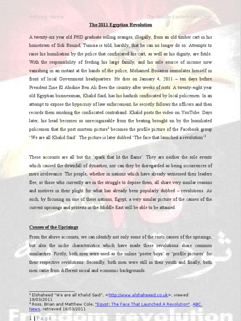 Egyptian revolution picture