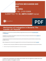 Conjugation Mechanism and Mapping