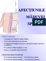 CursMielitaDna