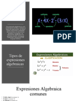 Expresiones Algebraicas