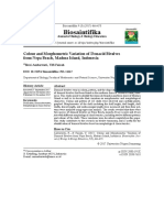 Colour and Morphometric Variation of Donacid Bivalves From Nepa Beach, Madura Isl., Indonesia