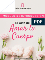 Manual de Introduccion 2