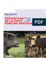 Peste porcine africaine / Plan-Action 2022