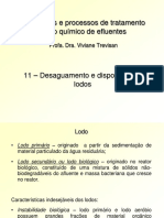 Processos de tratamento e disposição de lodos