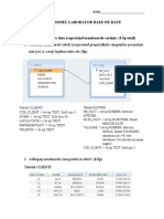 Test Model Laborator Baze de Date