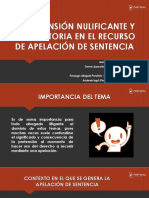 12 La Pretensión Nulificante y Revocatoria en El Recurso de Apelación de Sentencia