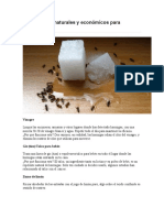 5 Repelentes Naturales y Económicos para Hormigas