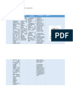 Tarea4 Morfofisiologia Mariana Valencia