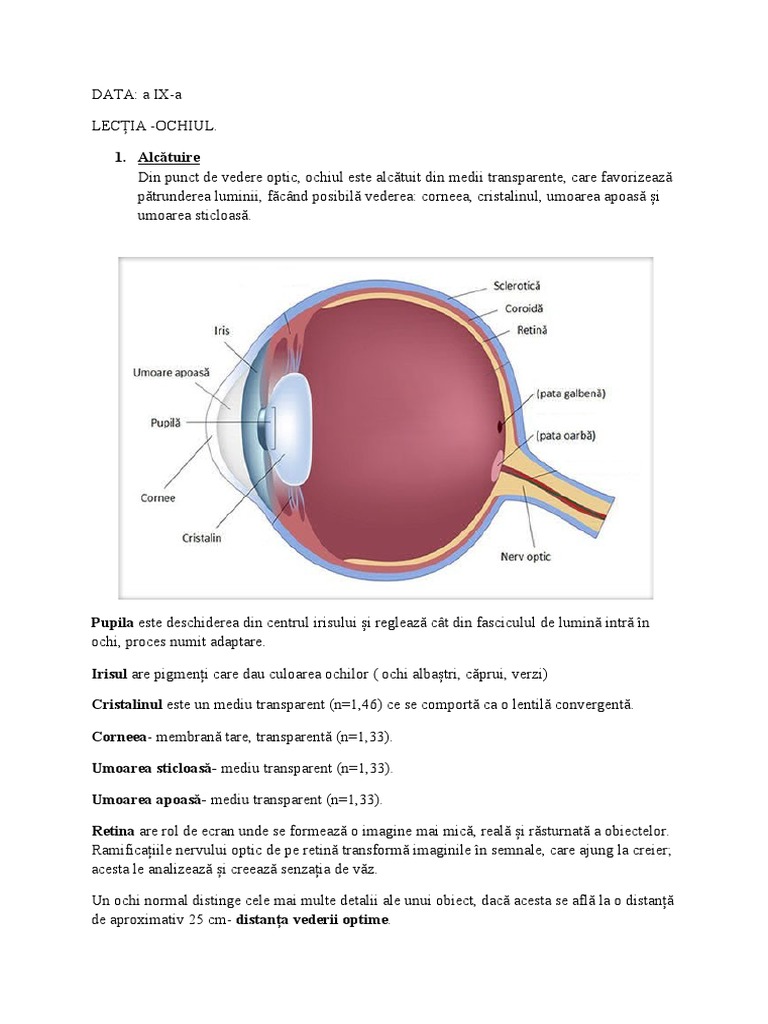 Lectia Ochiul | PDF