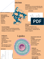 Biologia Tarea 2