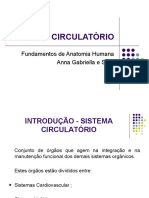 Sistema Circulatório: Fundamentos de Anatomia Humana Anna Gabriella e Silva