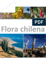 Flora Chilena