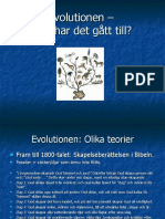 Evolution Darwin Och Naturligt Urval