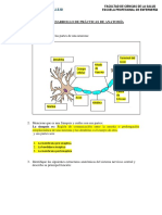 Guia de Anatomía Sesion 1