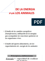 Calculos Energia 2020 (Autoguardado)