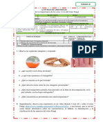 Ok - Actividad de Aprendizaje 10