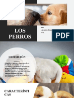 Los Perros