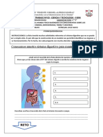 Ficha 3 Conocemos Nuestro Sistema Digestivo