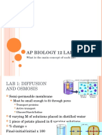 AP Biology Lab Concepts
