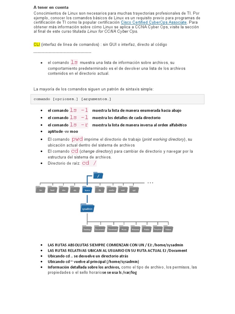 Apuntes Curso | PDF | Archivo de computadora | Directorio (Computación)
