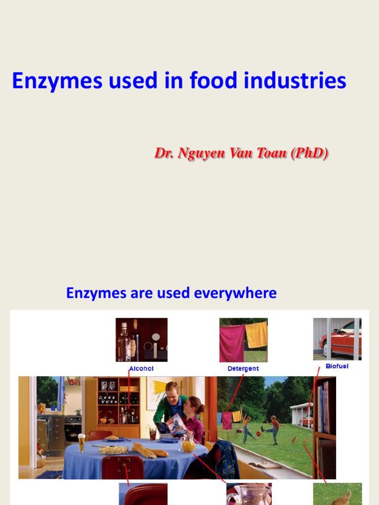 Enzymes Used in Food Industries PDF Fructose Enzyme