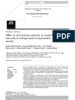 E Ect FF of Intra-Articular Injection of Mesenchymal Stem Cells in Cartilage Repair in Experimental Animals