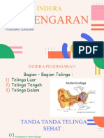 Indera Pendengaran