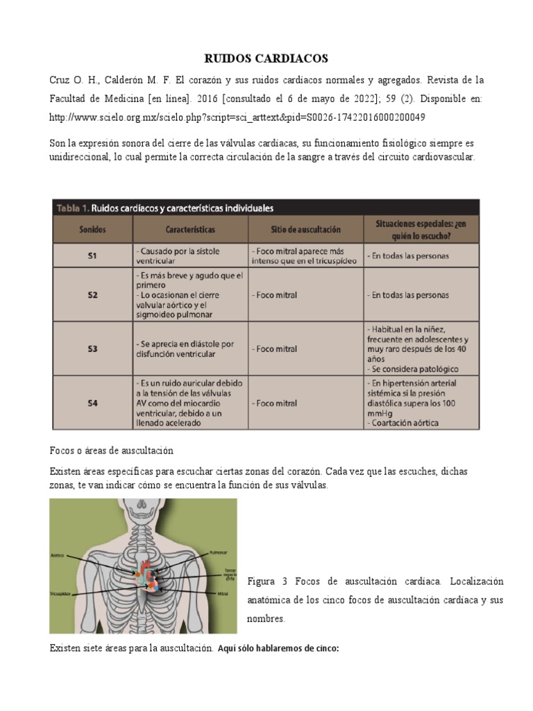 Ruidos Cardiacos Pdf _ Fases del ciclo cardíaco: Definición, sístole y ...