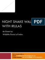 Night Snake Walk With Irulas