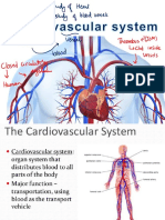 Cvs Mbbs PDF