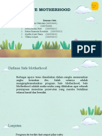 Kel.2 Safe Motherhood Kependudukan