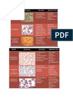 celulas sanguineas y patologicas