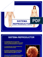 12. Viernes 10 Junio - Sistema Re Product Or