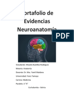 Portafolio de Evidencias Neuroanatomía