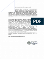 Acta de Constatacion y Verificacion - Alcalde de Pira PDF