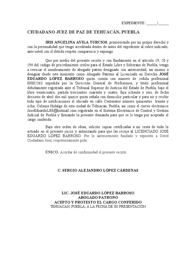 juzgado-de-paz-solicitar-copias-pdf
