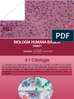 Unidad Iv - Presentacion - Biología Humana Básica