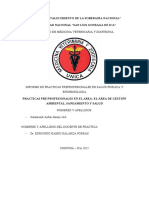 Gestión ambiental y salud pública en Chincha