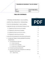 Programa de Seguridad y Salud Laboral Ejemplo Prof Luis Gerardo Sánchez r