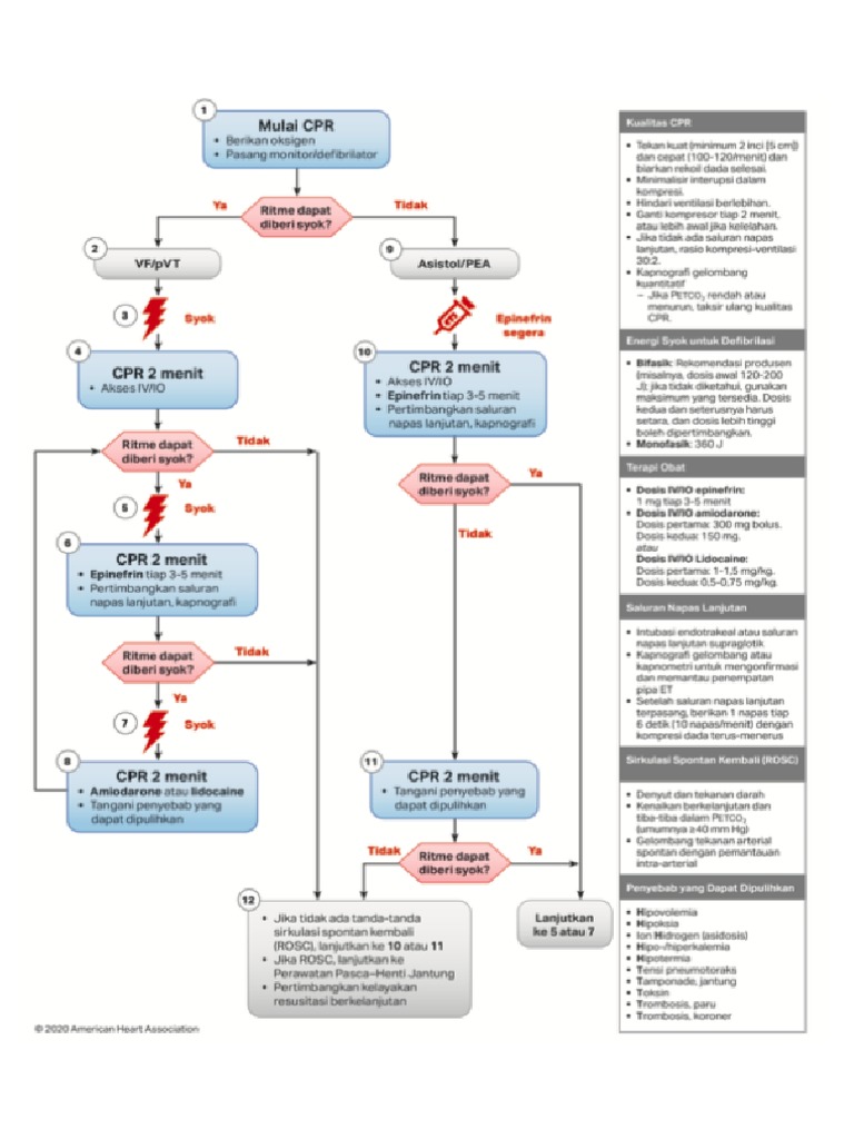 Cardiac arrest algorithm | PDF