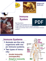 Immune System: Phagocytic Leukocyte
